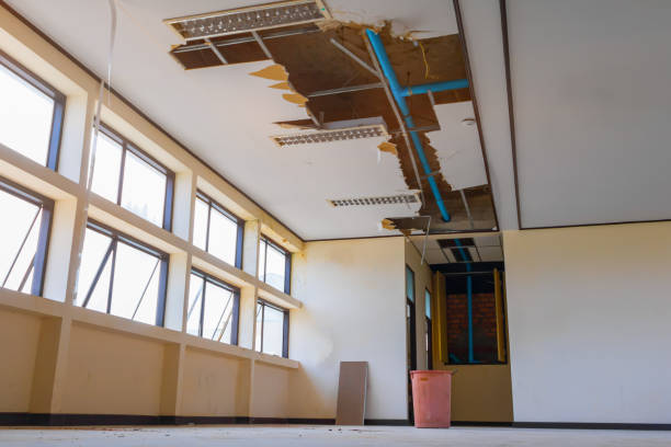 Best Local water damage restoration  in San Clemente, CA