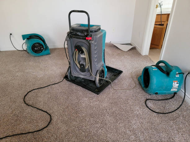 Best Carpet water damage restoration  in San Clemente, CA