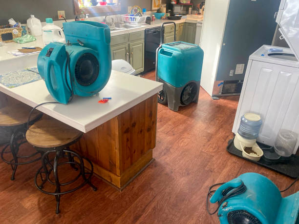 Best Professional water damage repair  in San Clemente, CA