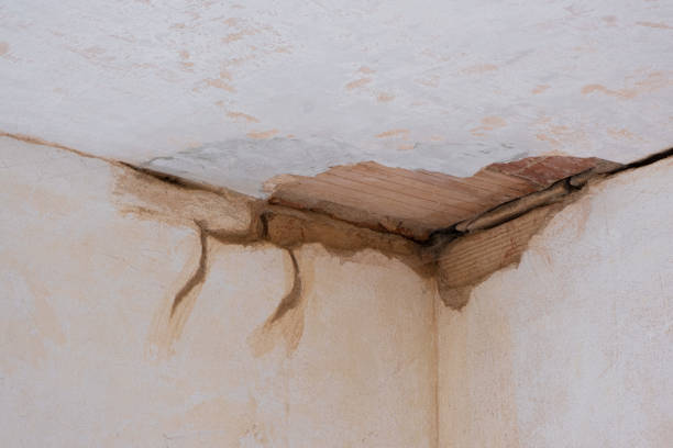 Best Fire Damage Restoration  in San Clemente, CA