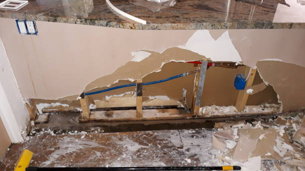 Best Water damage contractors near me  in San Clemente, CA