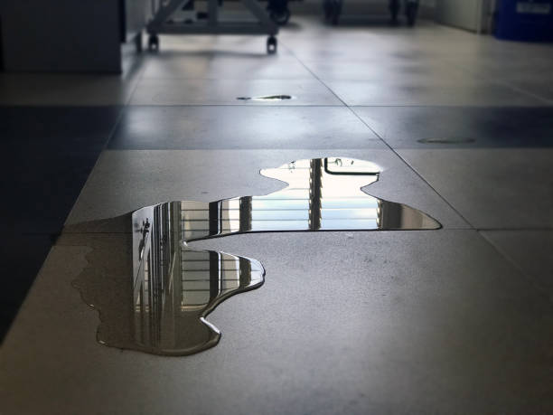 Best Water damage cleanup near me  in San Clemente, CA