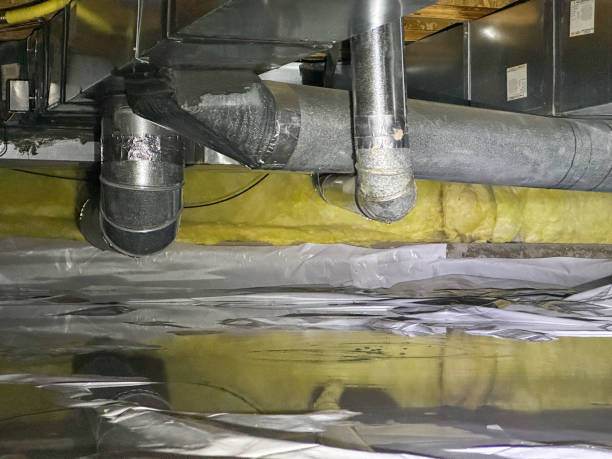 Best Flood damage cleanup  in San Clemente, CA