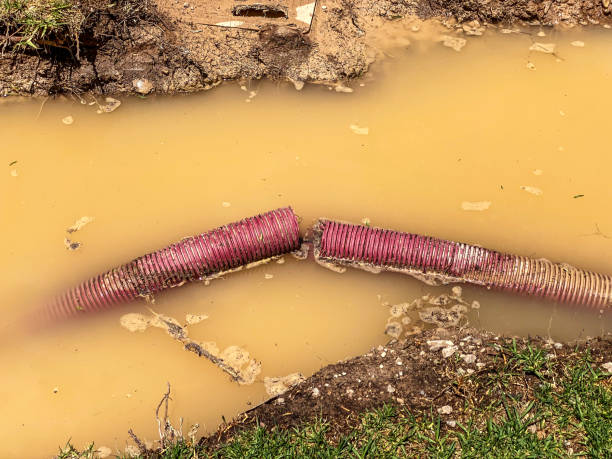 Best Water damage restoration cost  in San Clemente, CA